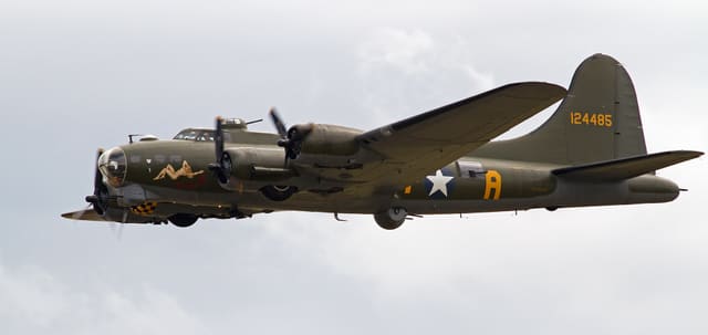 - Warbird