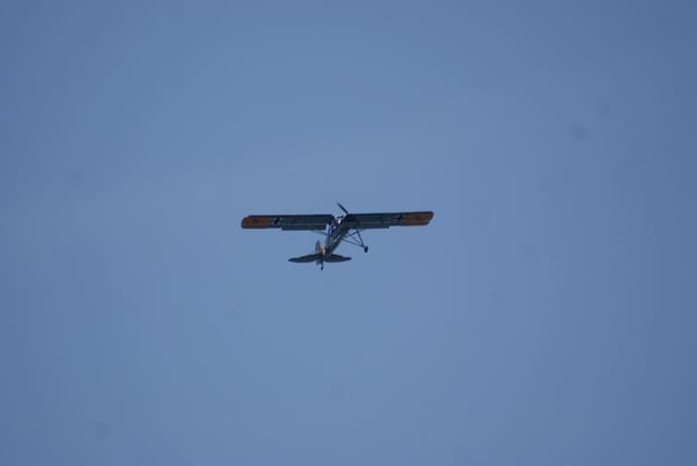 - Warbird