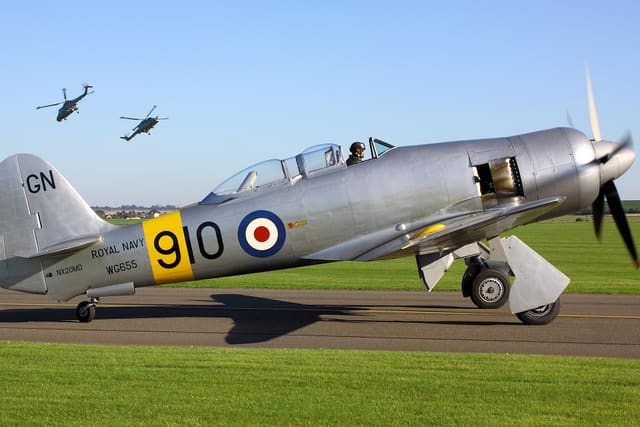 - Warbird