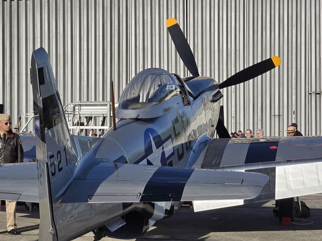 - Warbird