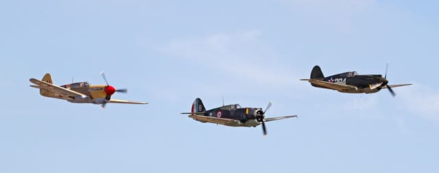 - Warbird