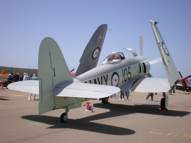 - Warbird