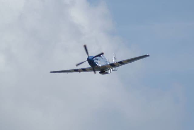 - Warbird