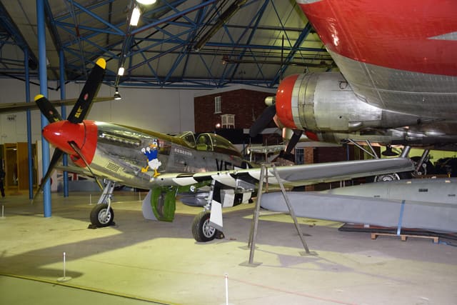 - Warbird