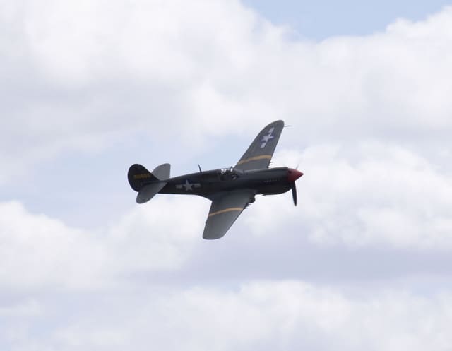 - Warbird