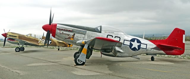- Warbird