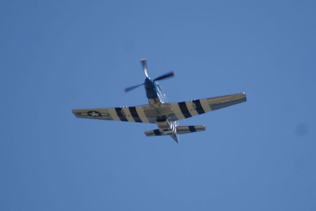 - Warbird