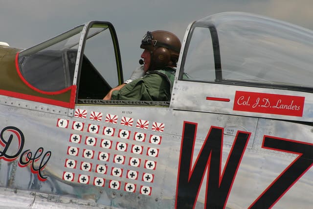 - Warbird
