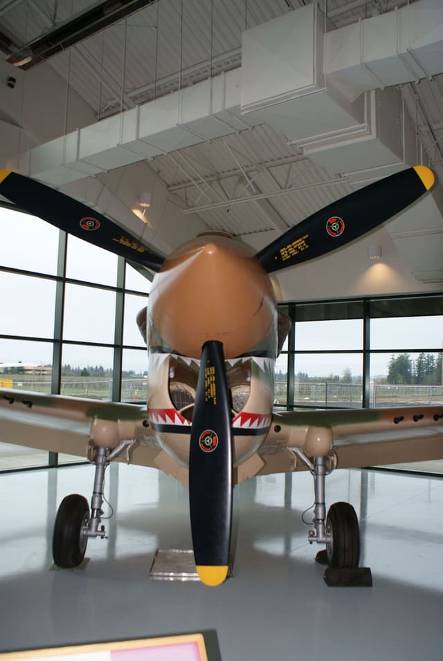 - Warbird
