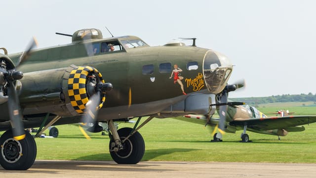- Warbird