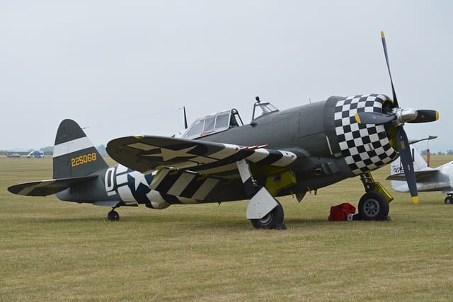- Warbird