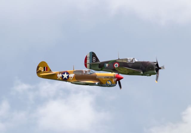 - Warbird