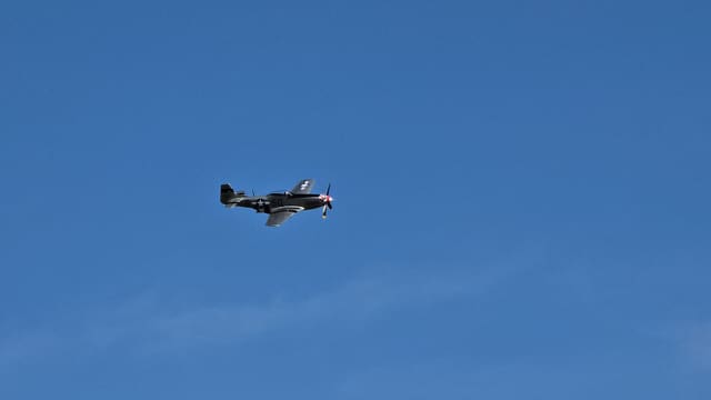 - Warbird
