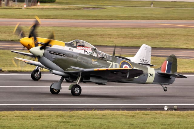 - Warbird