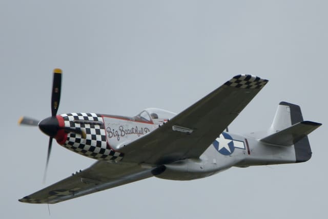 - Warbird