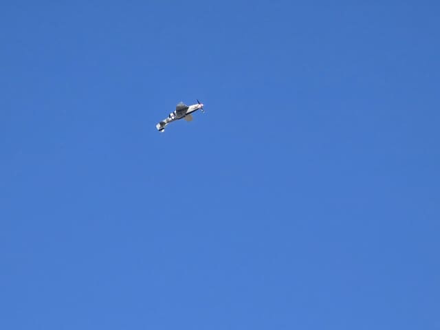 - Warbird