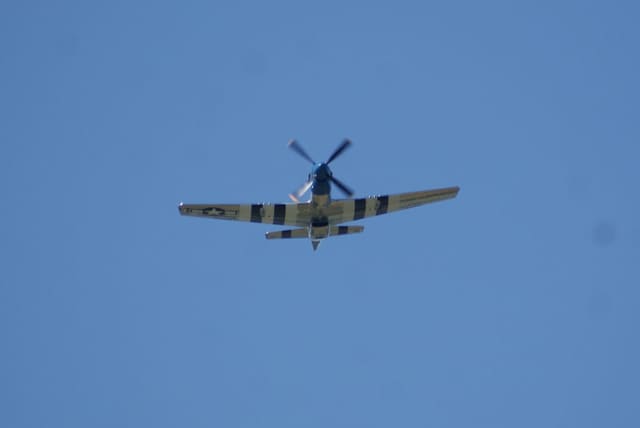 - Warbird