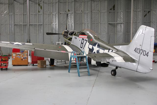 - Warbird