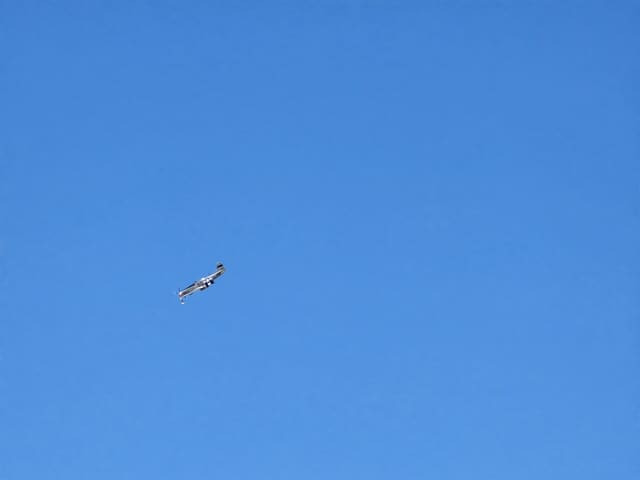 - Warbird