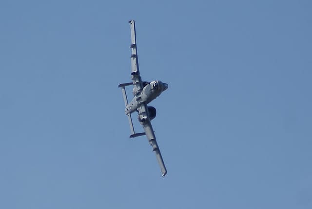 - Warbird
