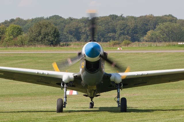 - Warbird