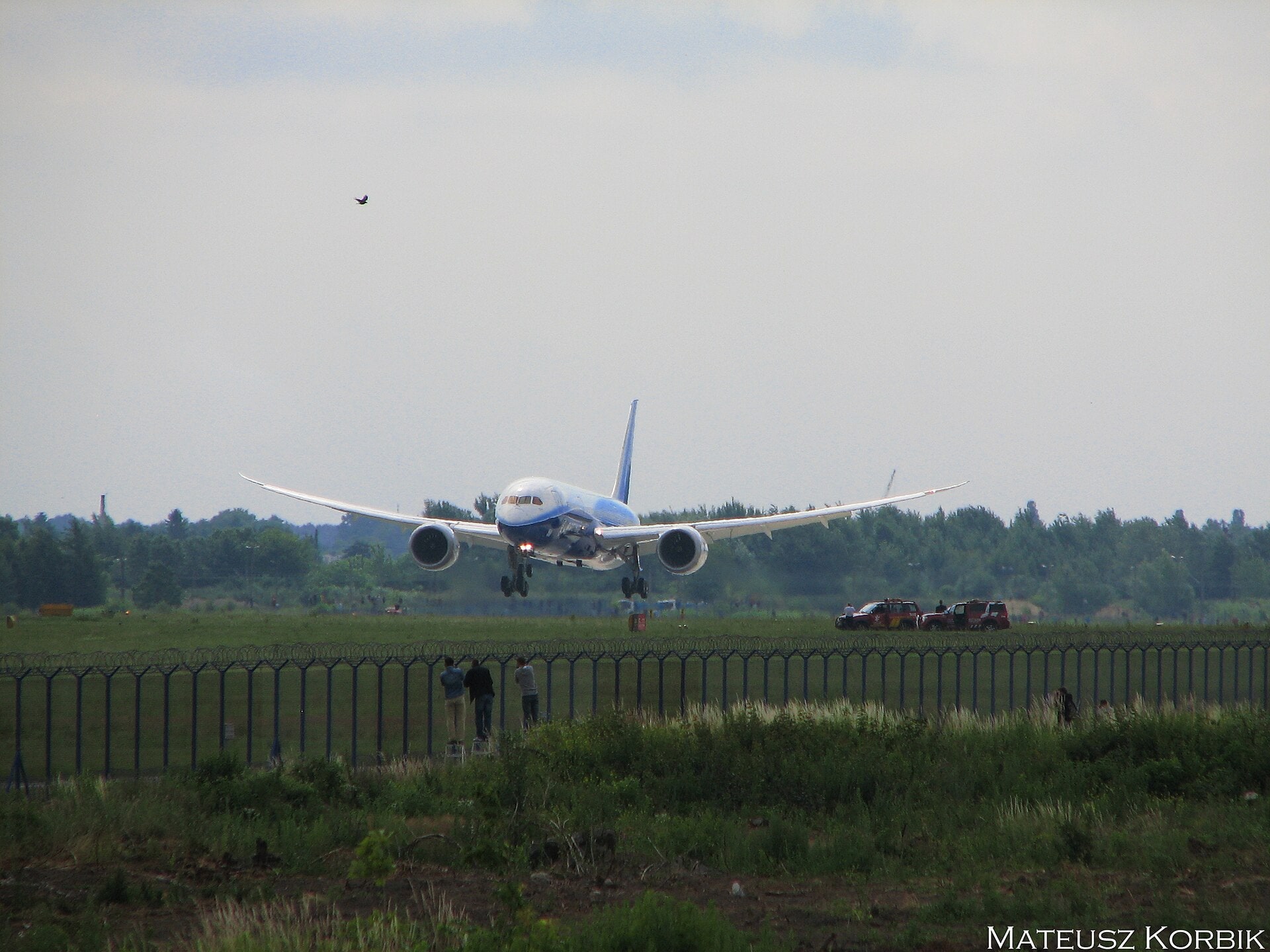 Korbio's best shot — N787BA