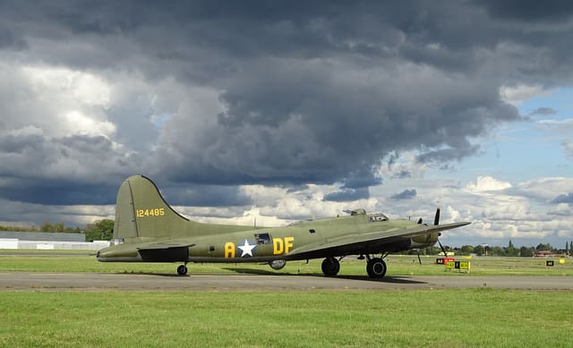 - Warbird