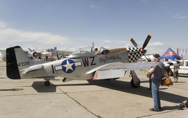 - Warbird
