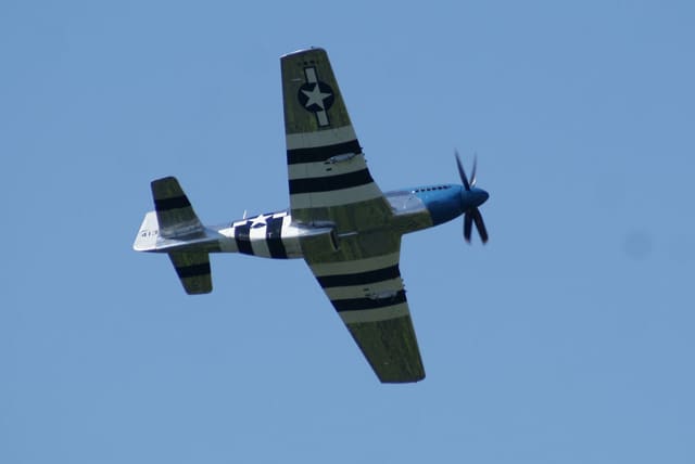 - Warbird
