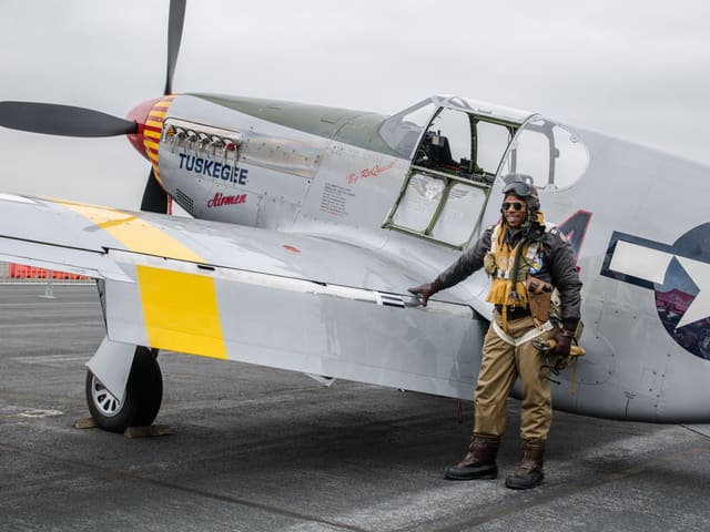 - Warbird