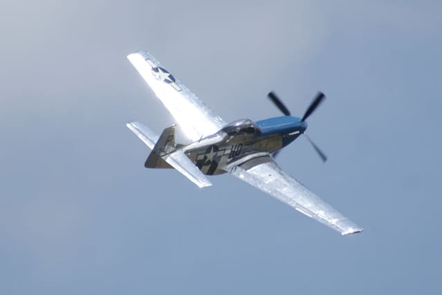 - Warbird