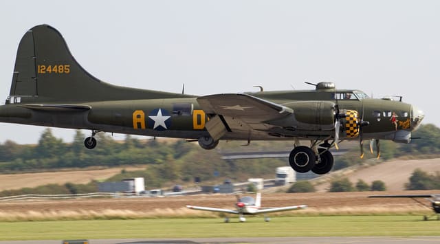 - Warbird