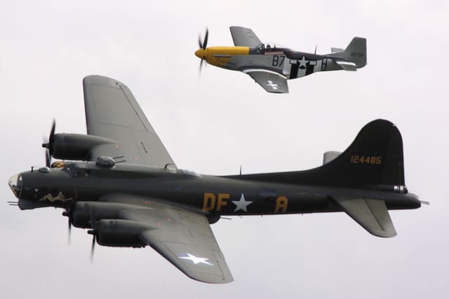 - Warbird