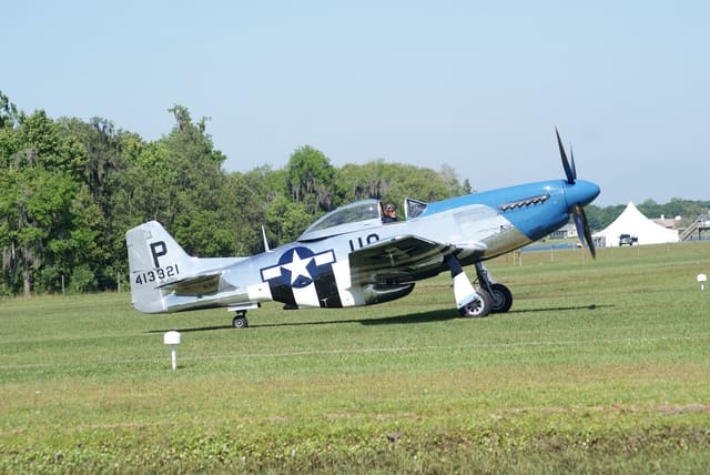 - Warbird