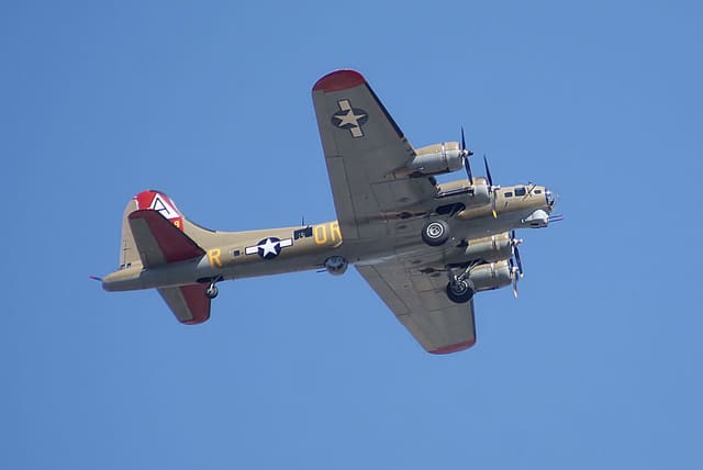 - Warbird