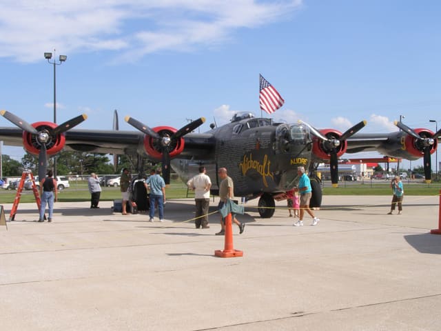 - Warbird