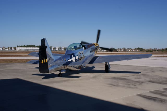 - Warbird