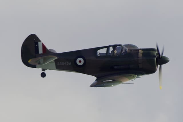 - Warbird