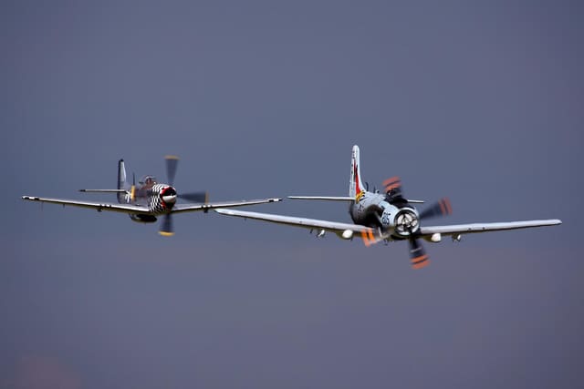 - Warbird