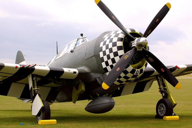- Warbird