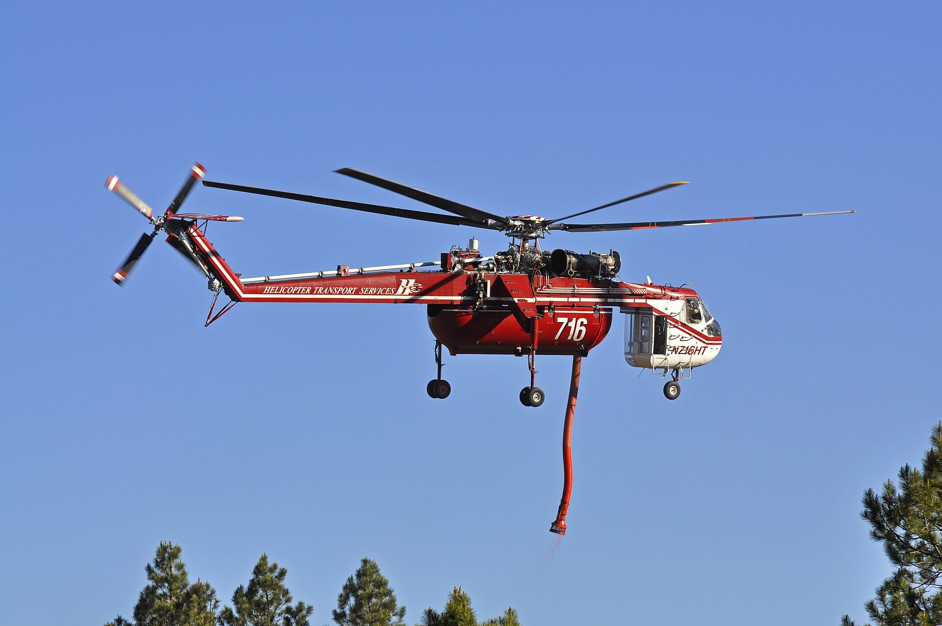 Brady Smith Coconino National Forest's best shot — N716HT
