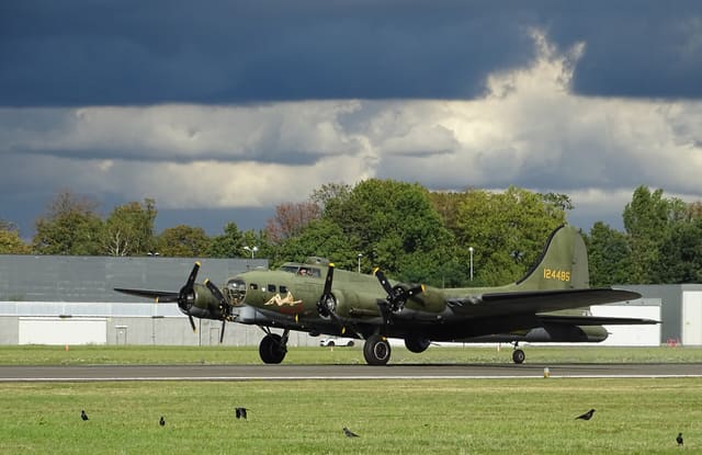 - Warbird