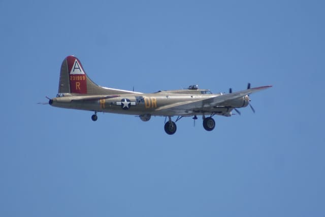 - Warbird