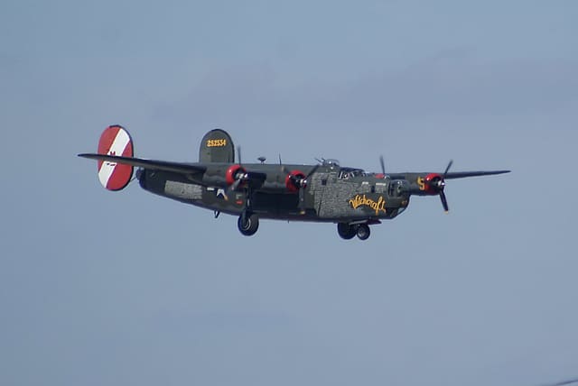 - Warbird