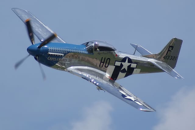 - Warbird