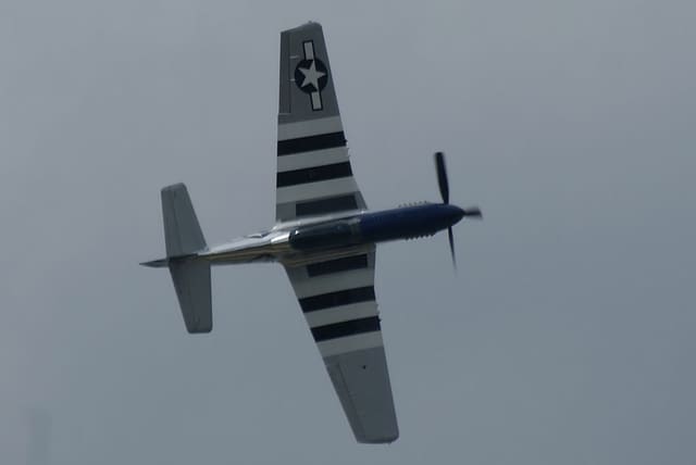 - Warbird