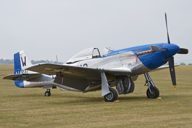 - Warbird