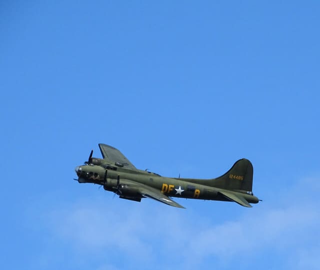- Warbird