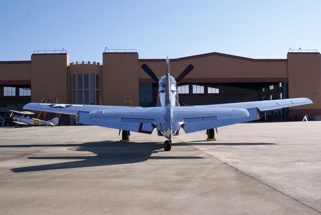 - Warbird
