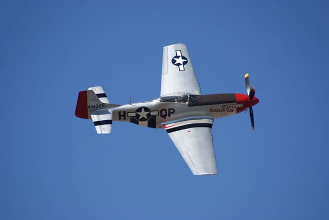 - Warbird